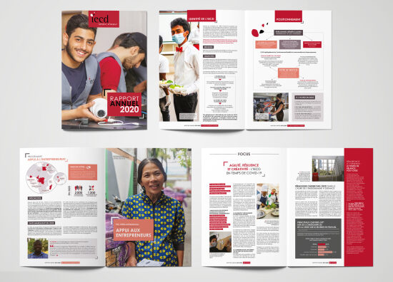Rapport annuel IECD 2020